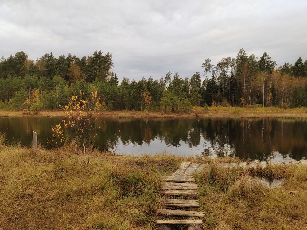 Фотография автора Татьяна Егорова