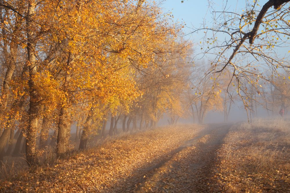 Photograph by KateAkh