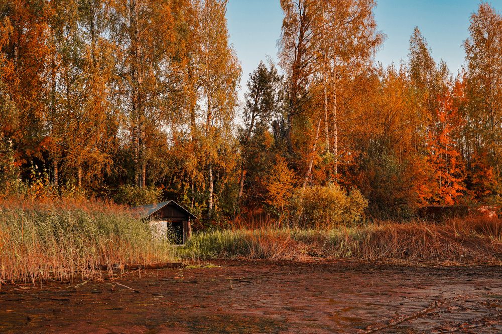 Photograph by Алексей Голубев