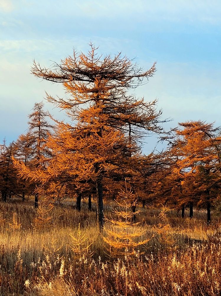 Фотография автора Казакова Людмила Ивановна