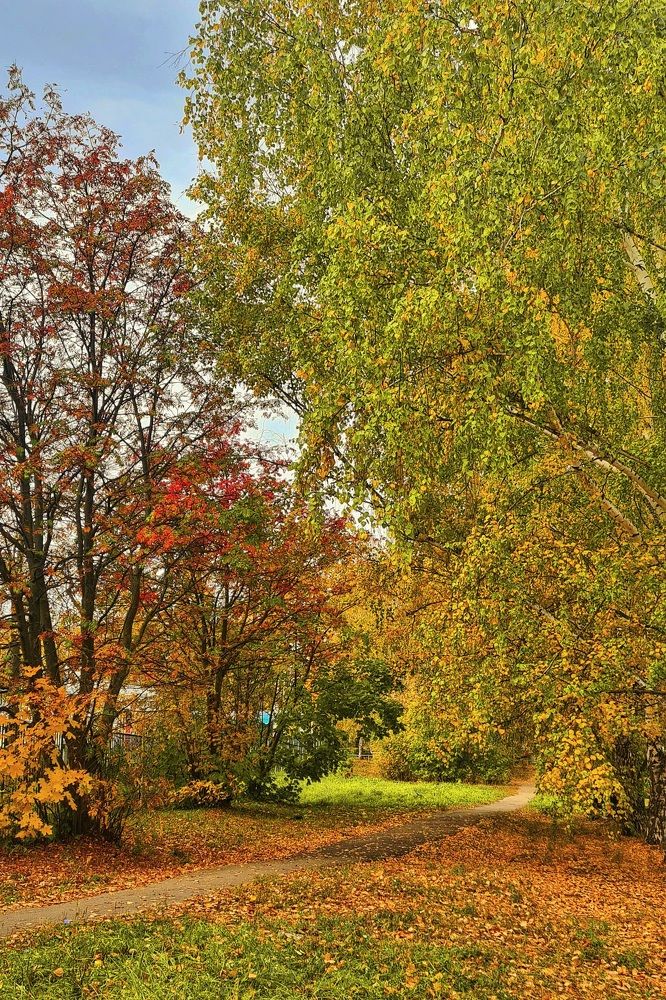 Photograph by Елена Квасова