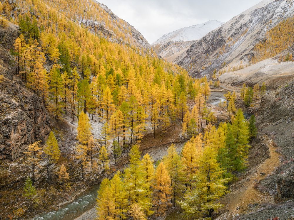 Photograph by Леонтьев Константин