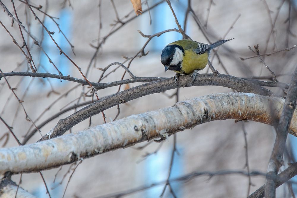 Photograph by Ильдар Валитов