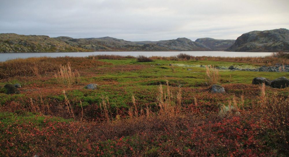 Фотография автора Светлана Терехова