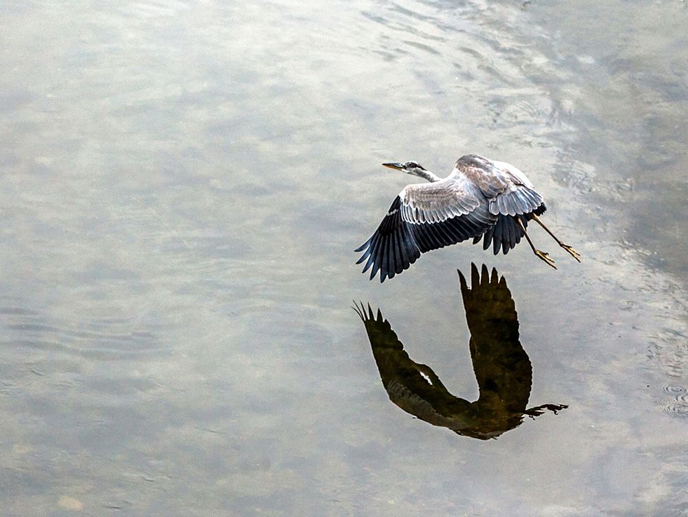Photograph by Владимир Баулин