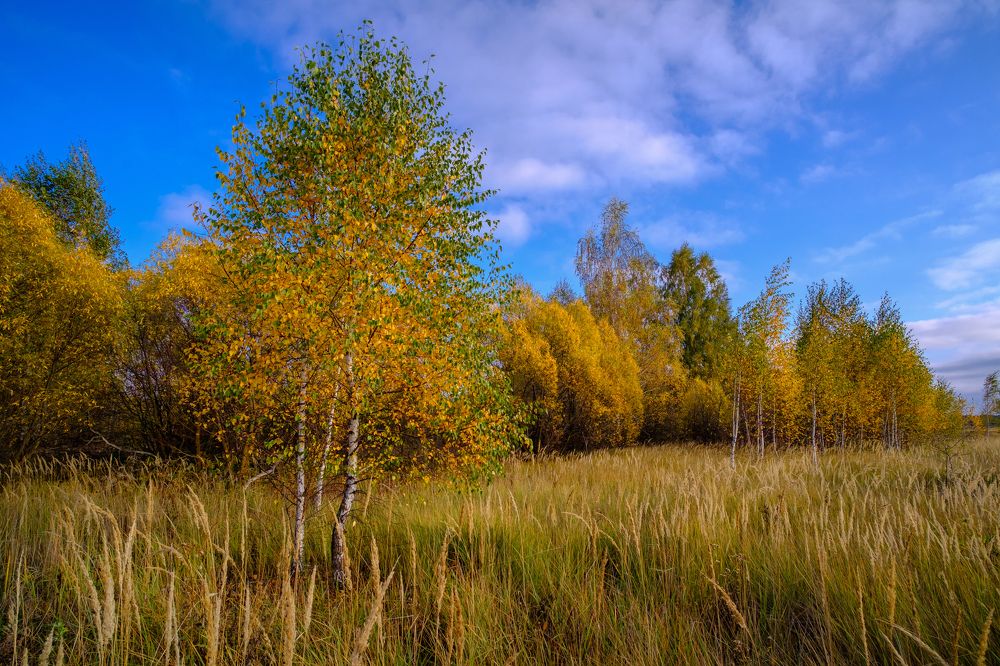 Фотография автора Виктор Долматов