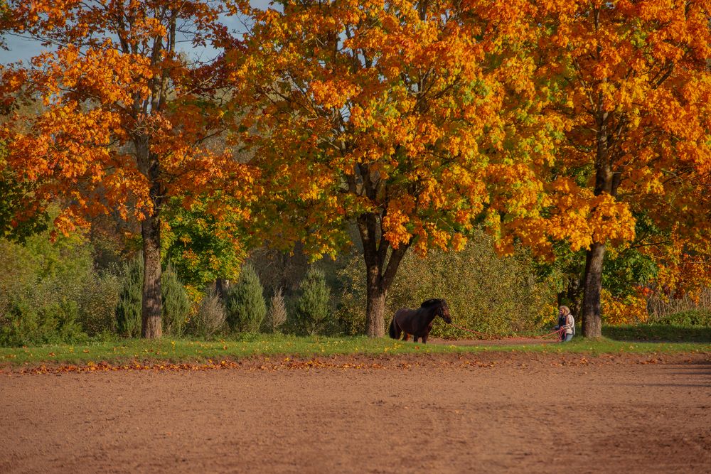 Фотография автора Aлексей Игнатьев