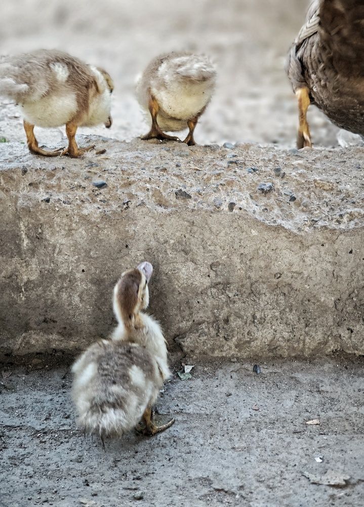 Фотография автора Евгения Владимировна