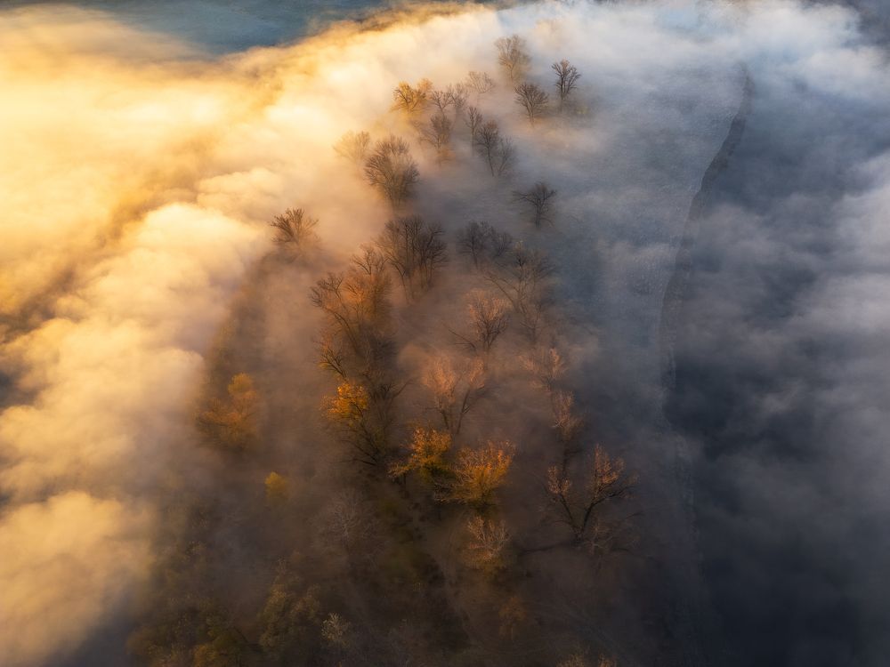 Photograph by Михаил Харитонычев