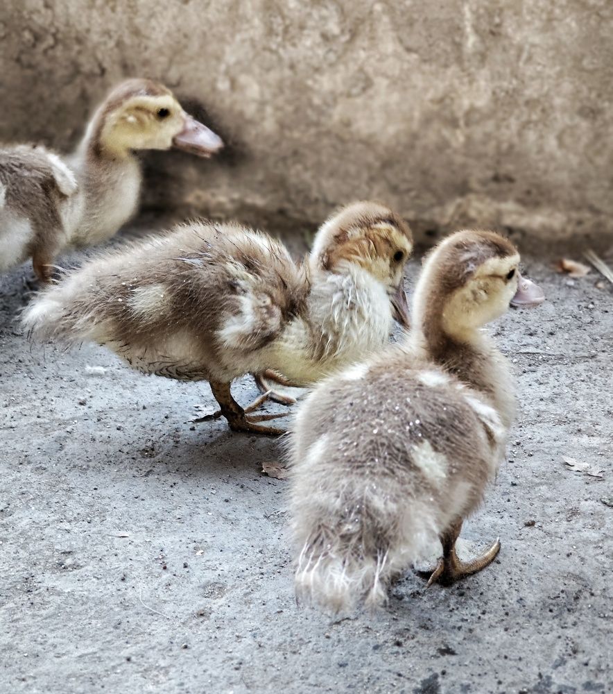 Фотография автора Евгения Владимировна