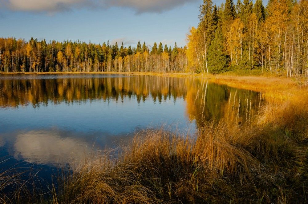 Photograph by Олег Менакер