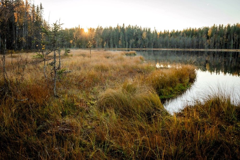 Photograph by Олег Менакер