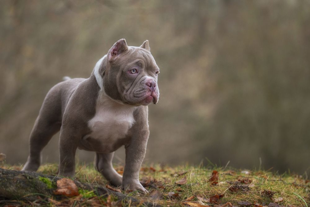 Photograph by Кулаков Юрий