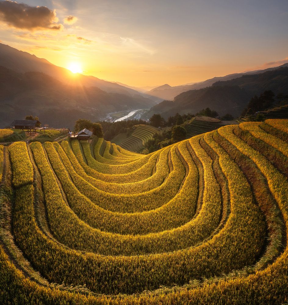 Golden Season in Sang Nhu 02