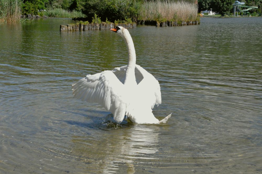 Photograph by Галина Лысых