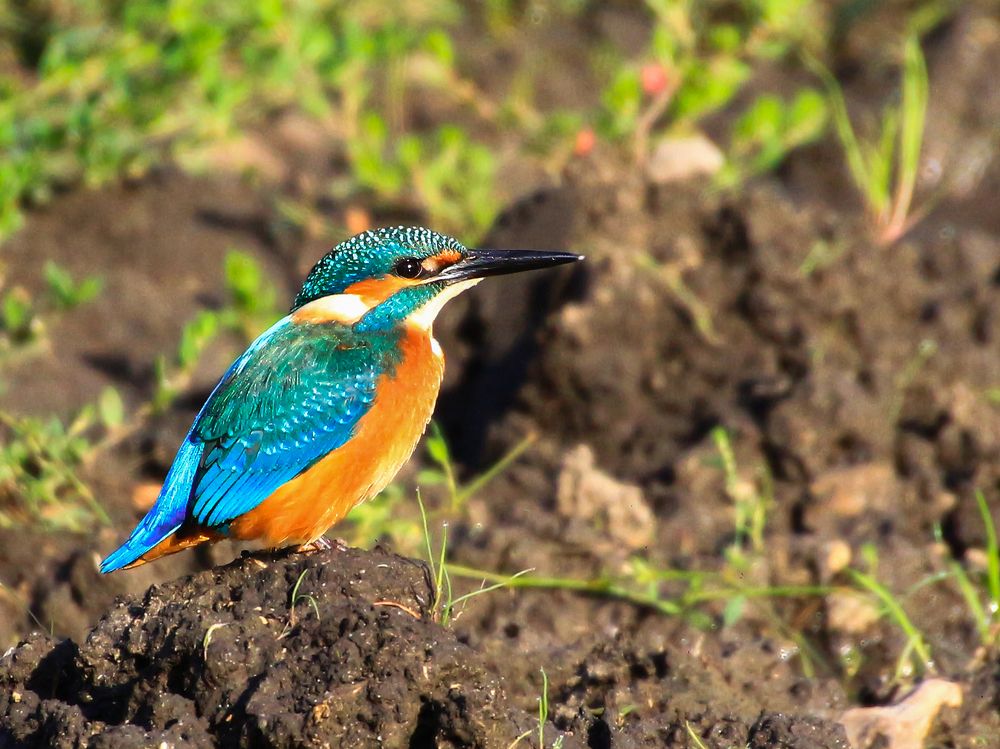 Photograph by Сергей Немцев