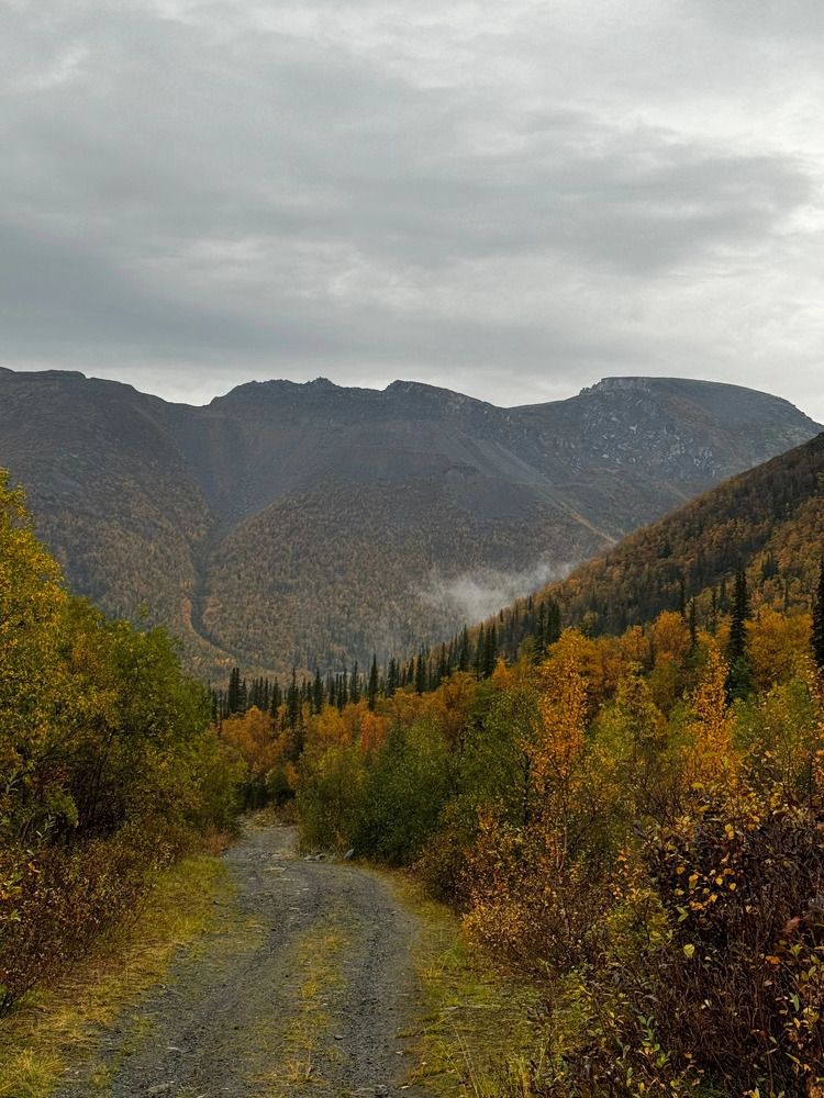 Photograph by Ольга Желтова