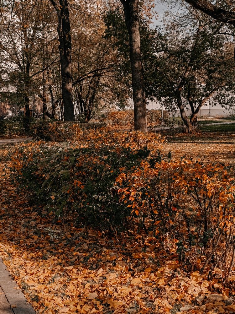 Photograph by Анастасия Лотова