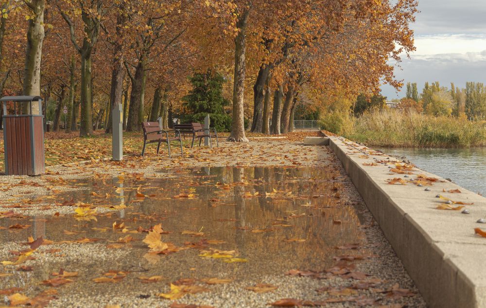 Photograph by Светлана Мельник