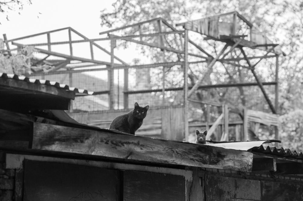 Photograph by Наталья Кулемина