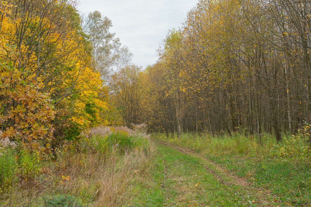 Photograph by Екатерина Медведева