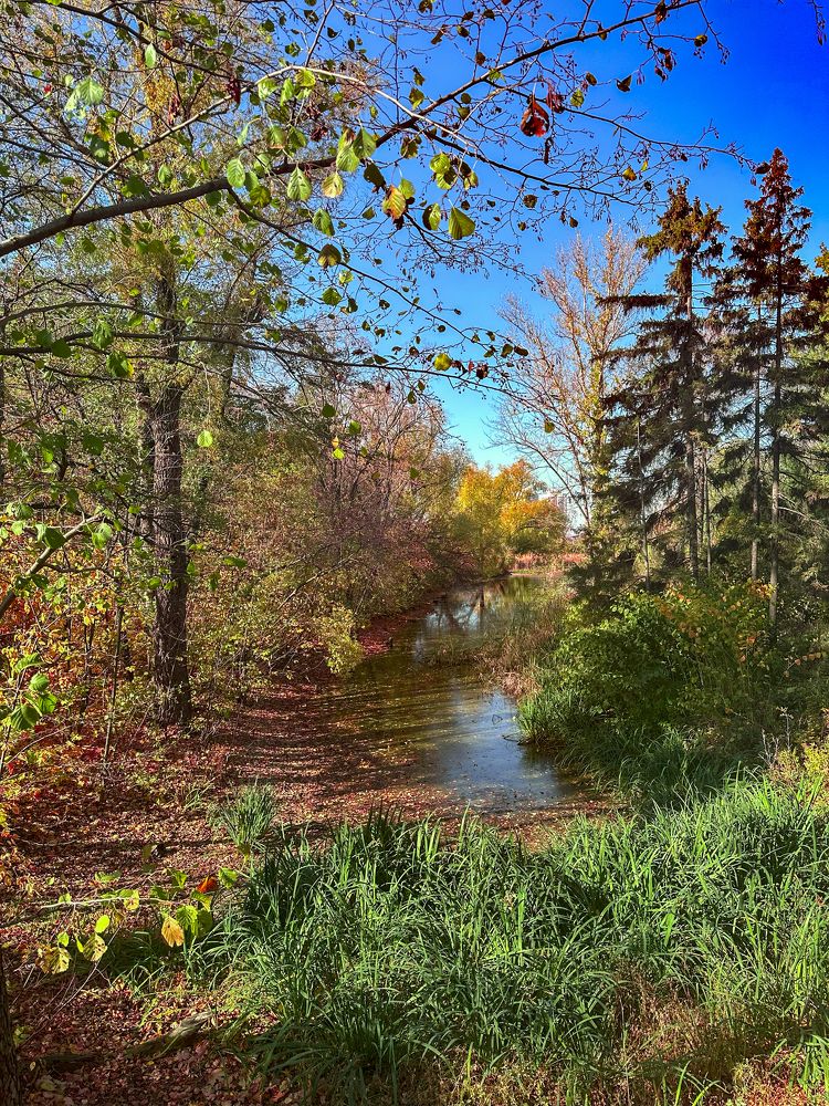 Фотография автора Dariya Olkhovskaya