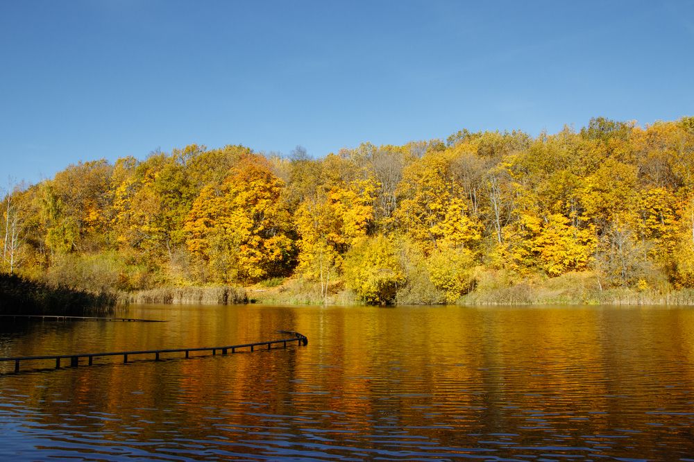 Photograph by Ольга Осинина