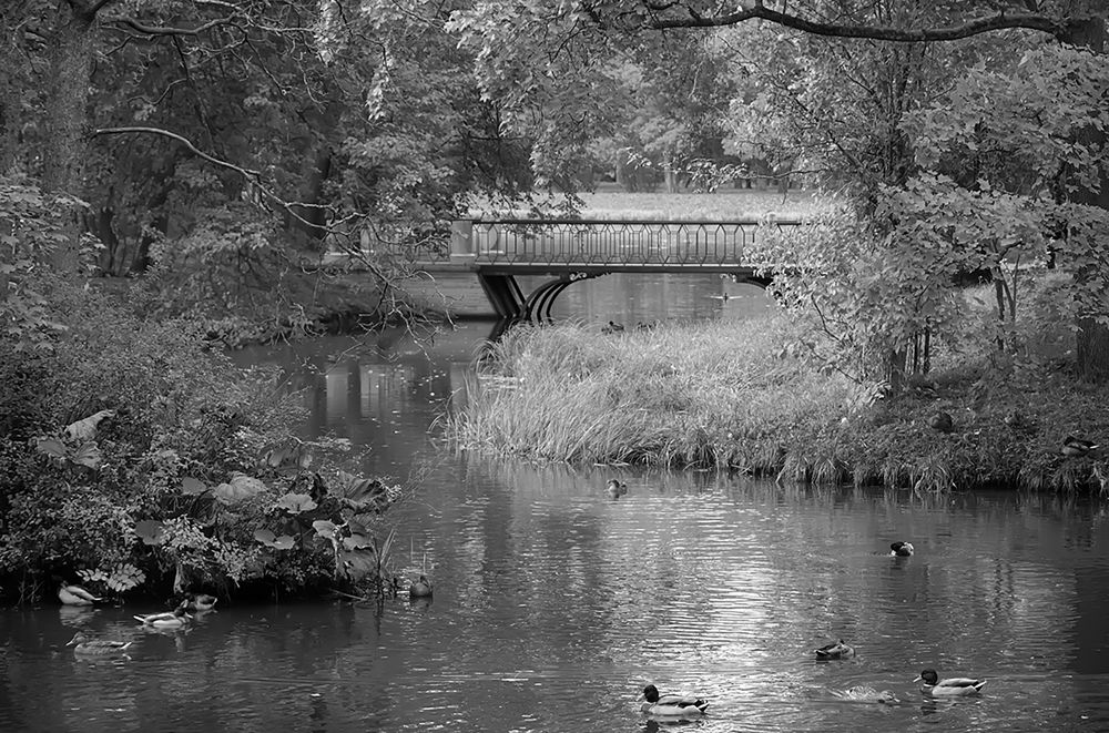 Photograph by Елена Белькова