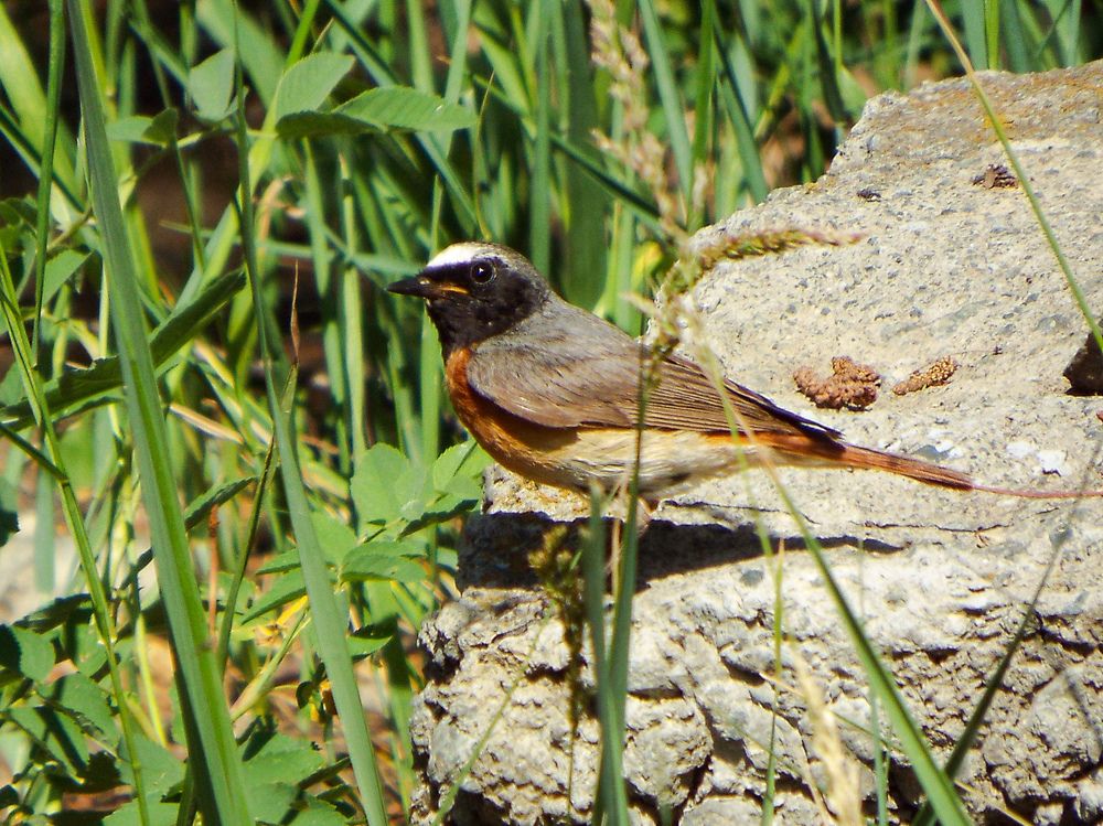 Photograph by Евгения Антропова