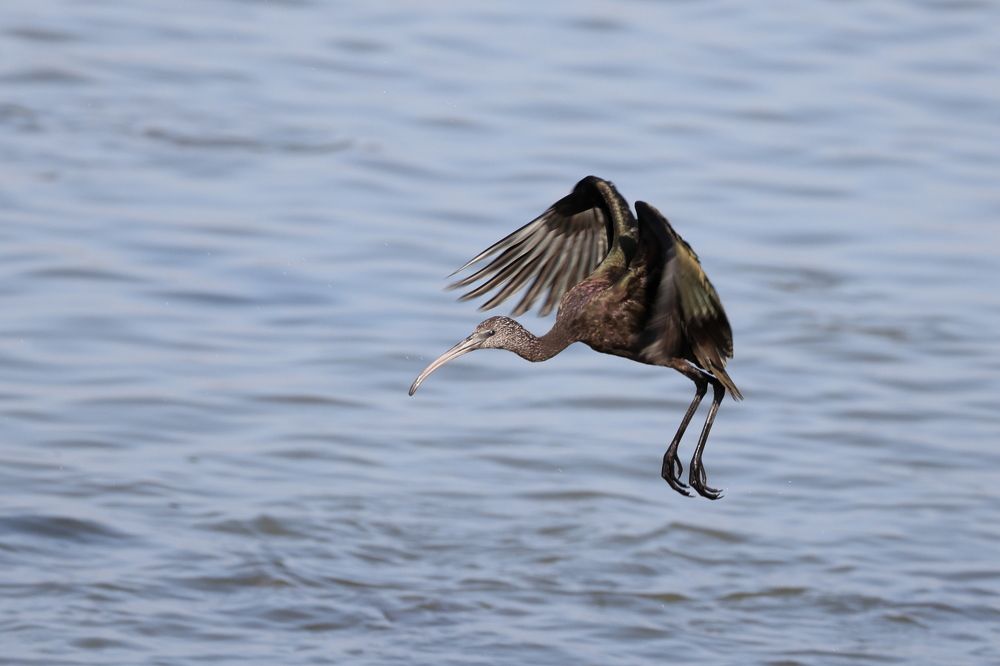 Photograph by pavel chtein