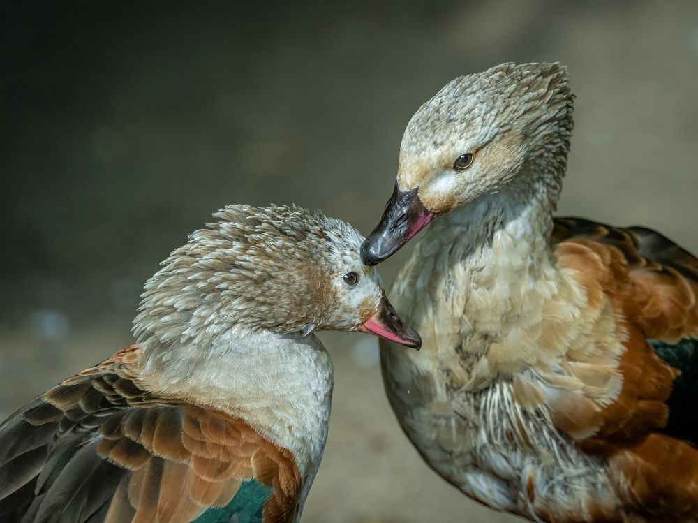 Фотография автора Erik Nelson