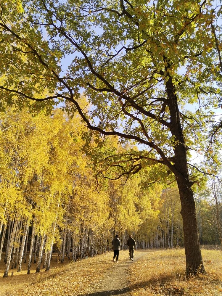 Photograph by Ольга Чернова