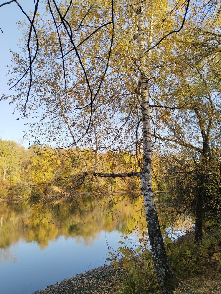 Photograph by Ольга Чернова