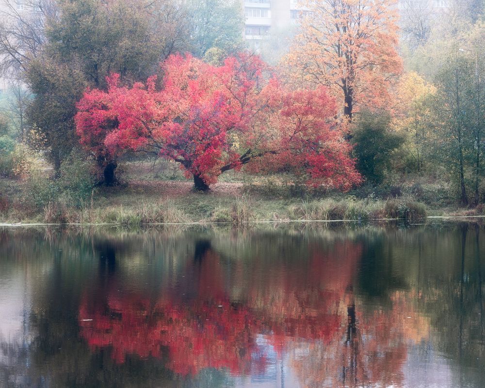 Фотография автора Мартыненко Дмитрий