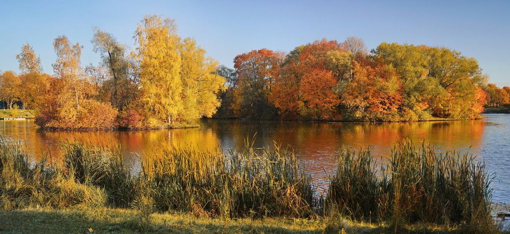 Фотография автора Анатолий Дауров
