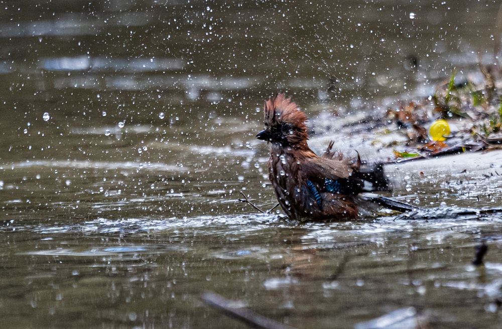 Фотография автора Наволокин Михаил