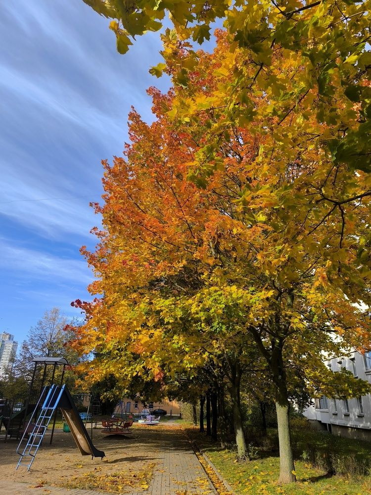 Photograph by Людмила Муравьева