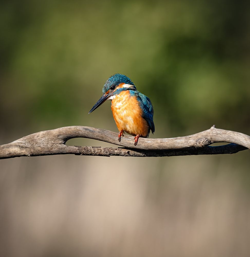 Фотография автора Lital Tzach Yona