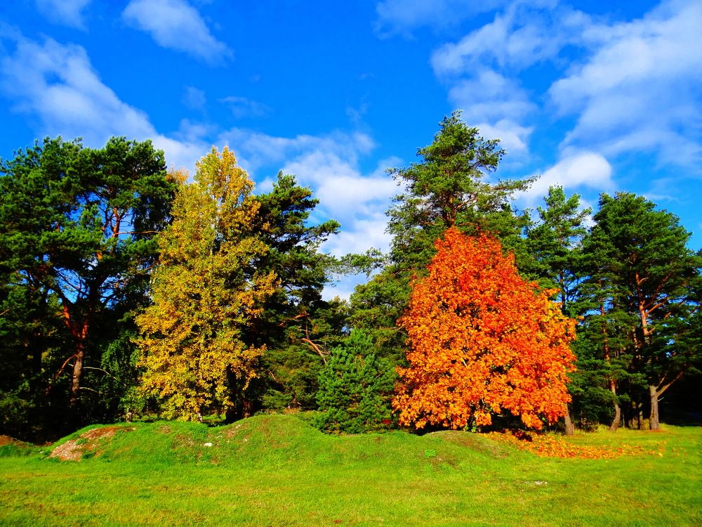 Фотография автора Jevgeni Filimonov