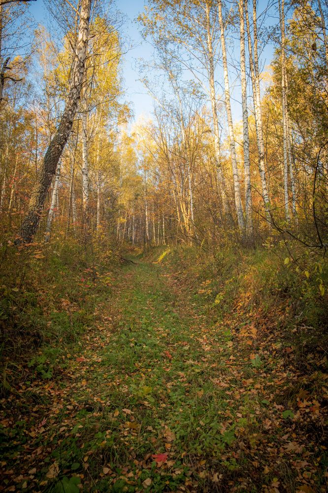 Photograph by Альберт Габбасов