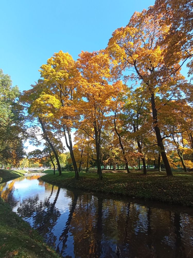 Фотография автора Natalia Khodina