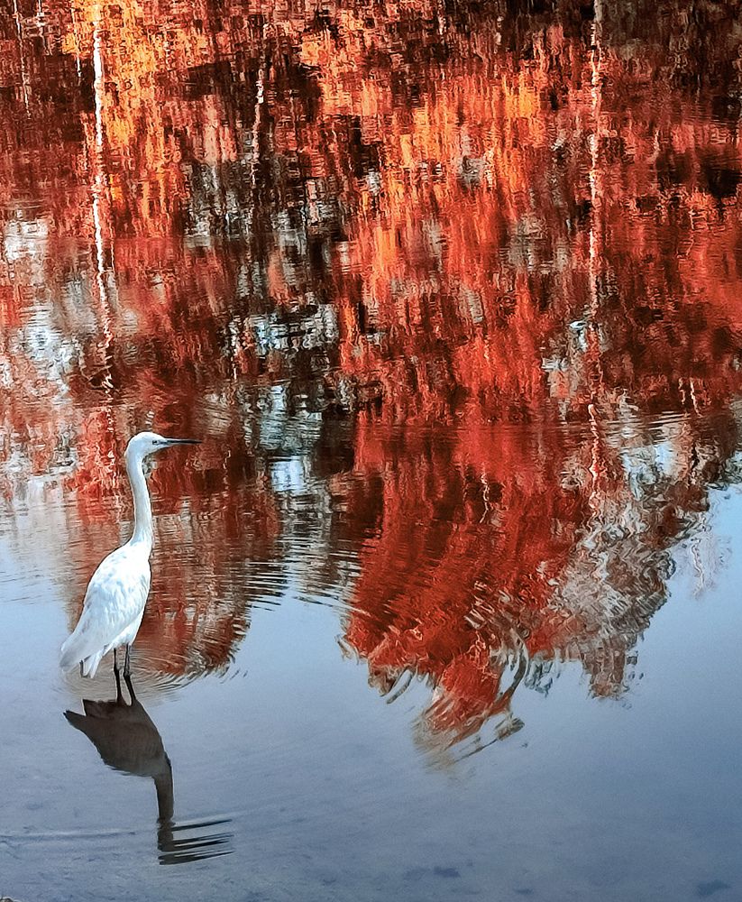 Фотография автора Нина Зинченко