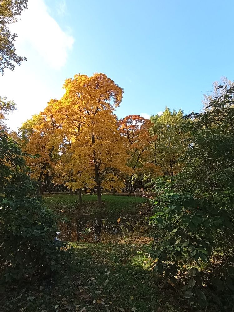 Фотография автора Natalia Khodina