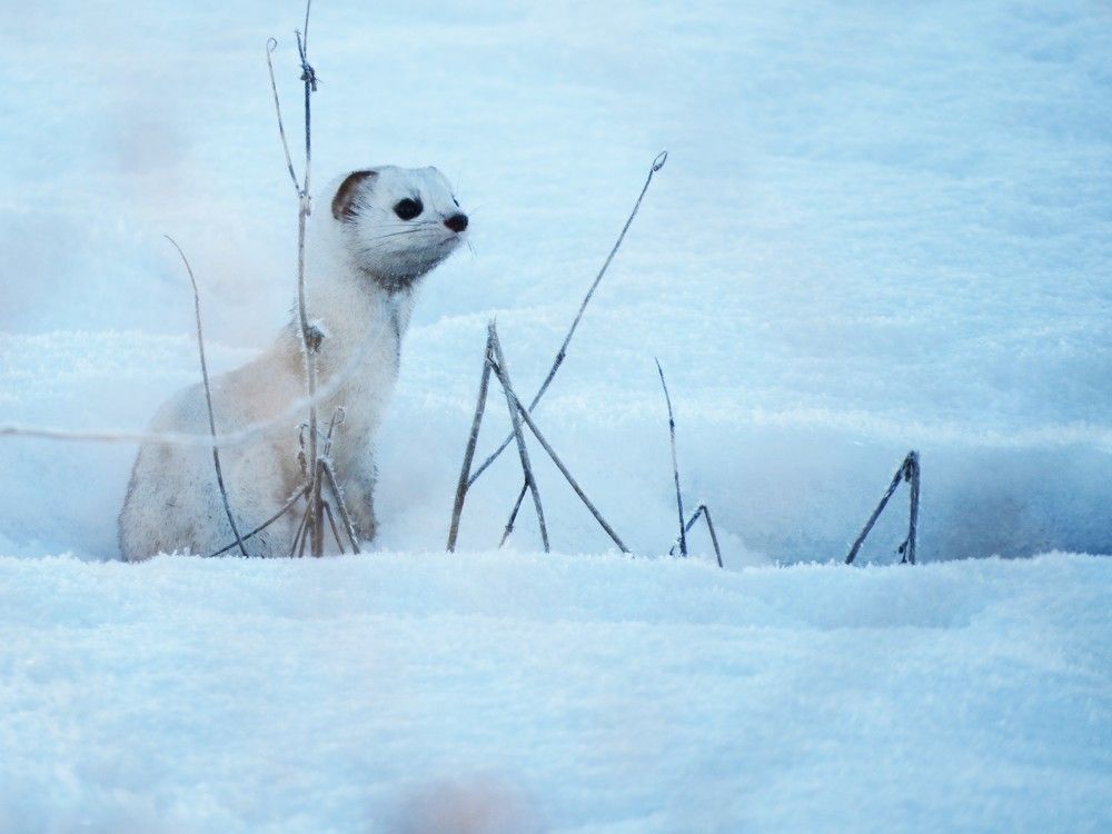 Photograph by Лариса Басова