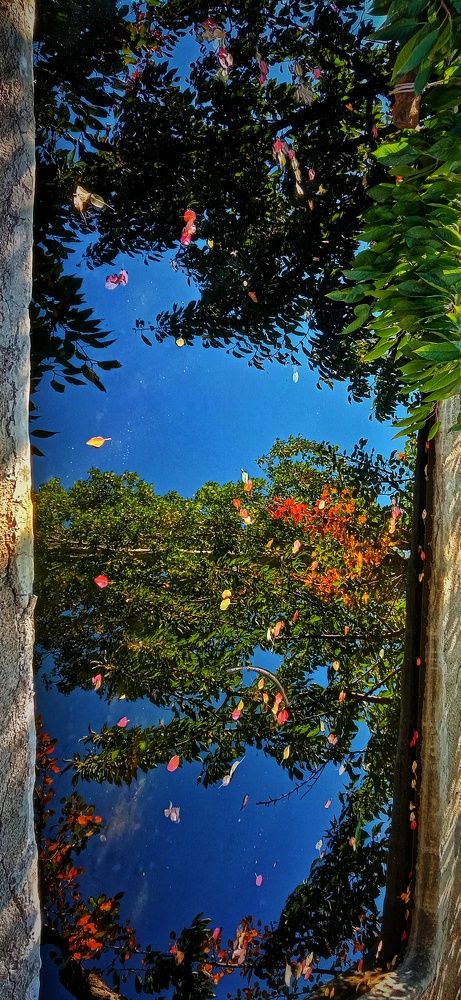 Фотография автора Mahdi Mohammadi