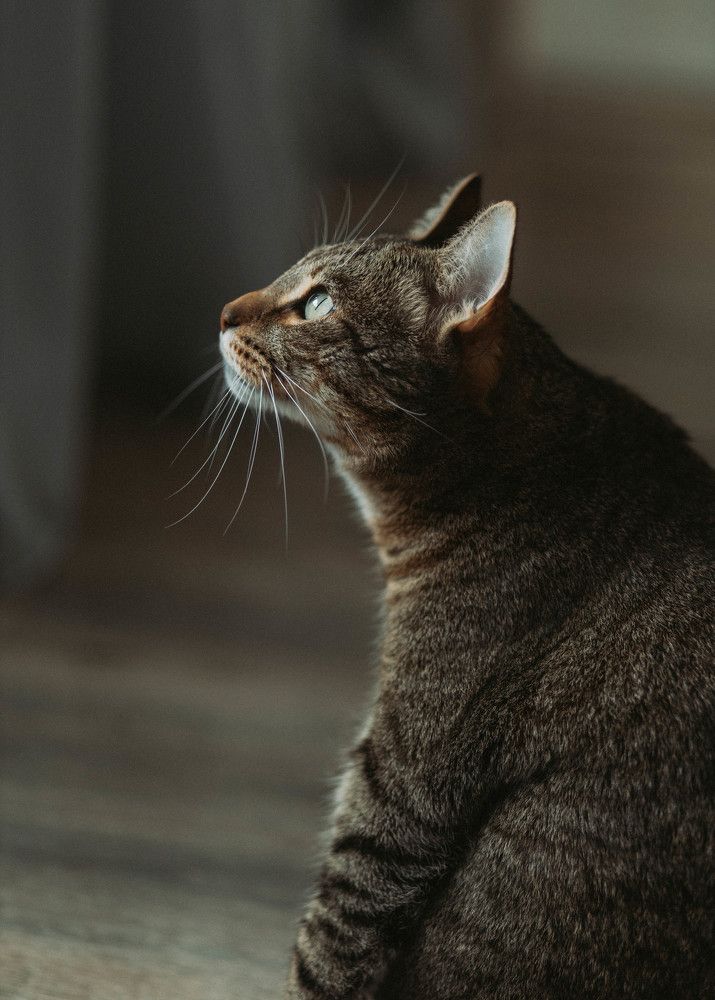 Photograph by Ирина Легкая