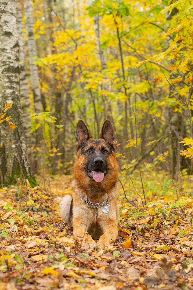 Photograph by Екатерина Медведева