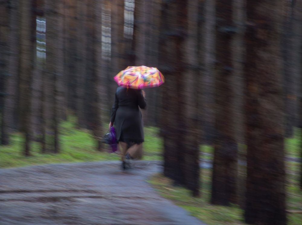 Дама с зонтом