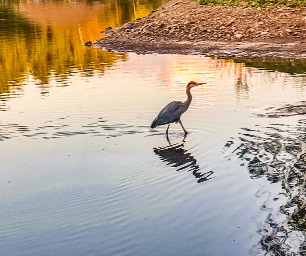 Фотография автора Нина Зинченко