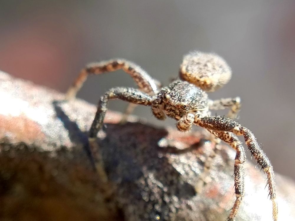 Photograph by Александр Казачек